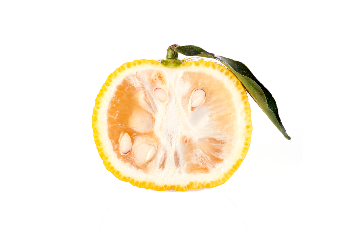 Deep Dive Into The Ingredient: Yuzu – BETA5 Chocolates