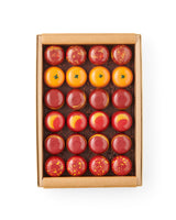 Year of the Horse Collection