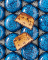 Cookie Monster