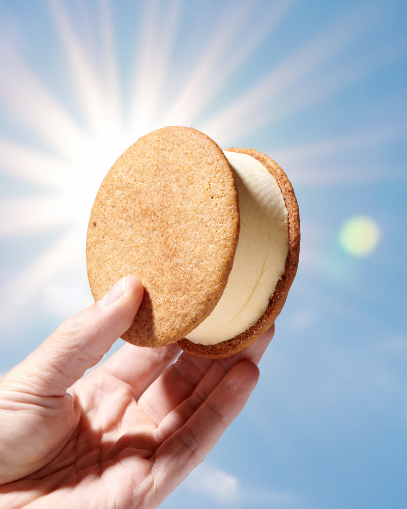 Key Lime Ice Cream Sandwich