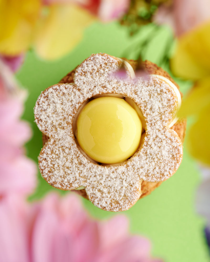 Strawberry - Jasmine Cream Puff